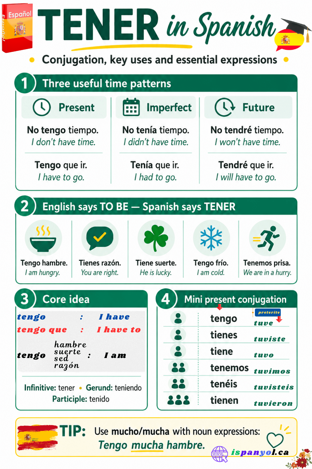 Spanish tener study guide showing present, imperfect and future examples and expressions such as tengo hambre, tienes razón and tiene suerte